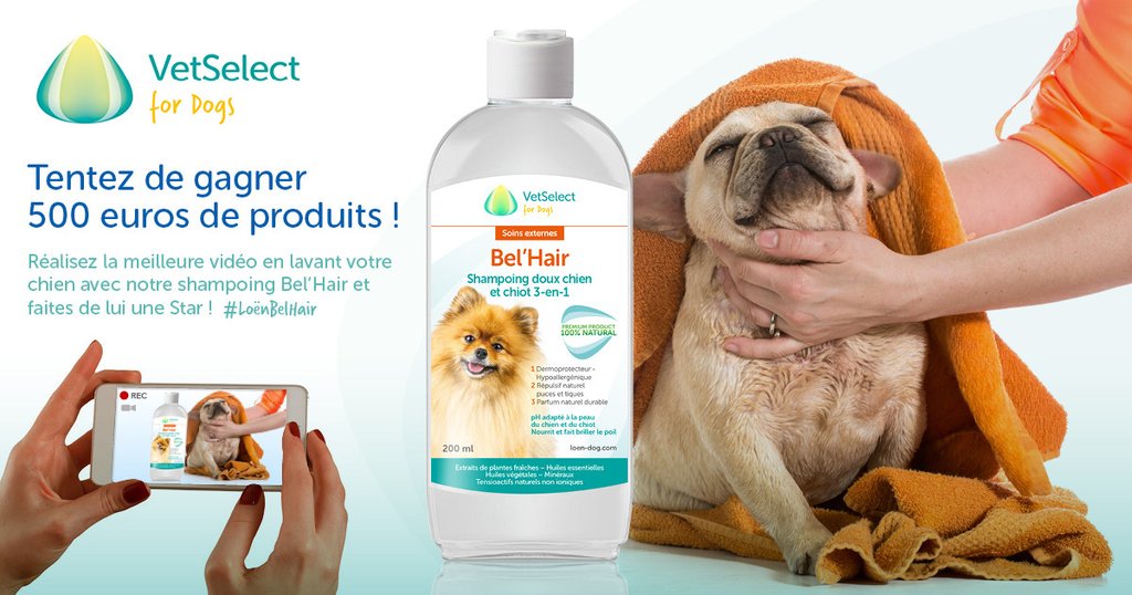 VetSelectDog's tweet photo. #LoenBelHair | Les premières vidéos du shampoing Bel'Hair arrivent 📽
https://t.co/g0yo3eyjg6 https://t.co/7YxNfayvCe
