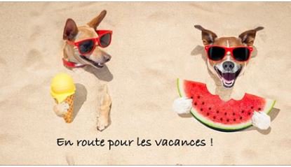 VetSelectDog's tweet photo. #LoenWinner | Félicitations aux trois gagnants qui remportent une trousse de secours @VetSelectDog ➡https://t.co/5e9u36JSVM https://t.co/ZNqp9n88XI