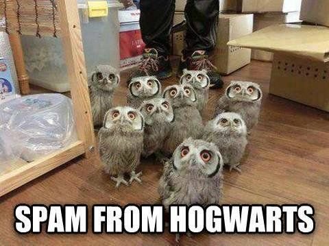 ProfesorSnape's tweet photo. Spam de Hogwarts. https://t.co/s2Zn7yOhQ6