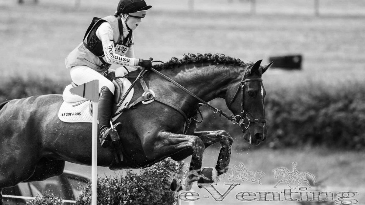 Bonnie Bartlett tweet media