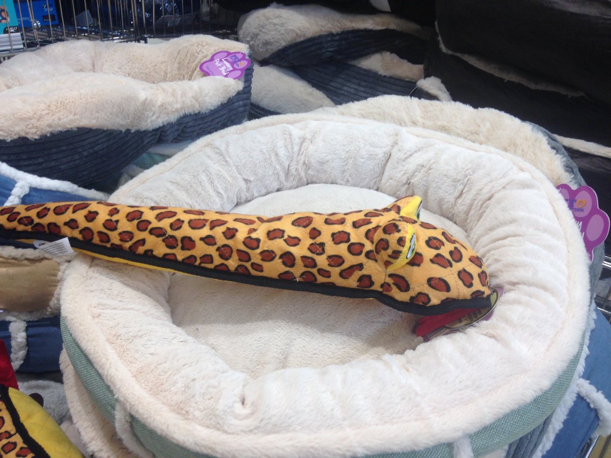 inchmate's tweet image. Met Casper up the Aldi told me unless I got tickets at the y then he would spew up all over me so I did @RealBobMortimer @AthleticoMince