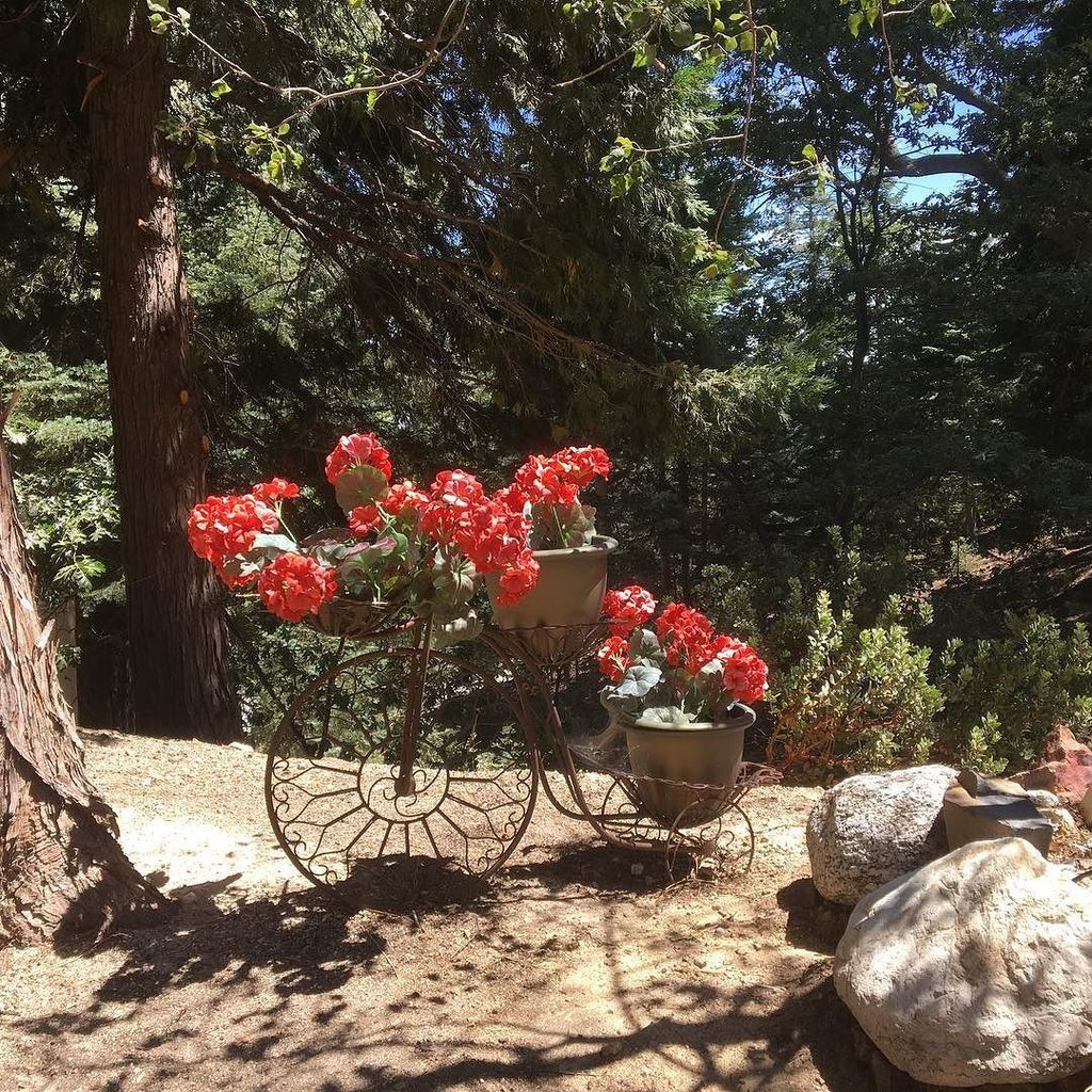 Flower powered✌️