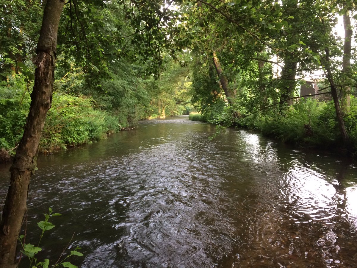 Schleusingen Hashtag On Twitter