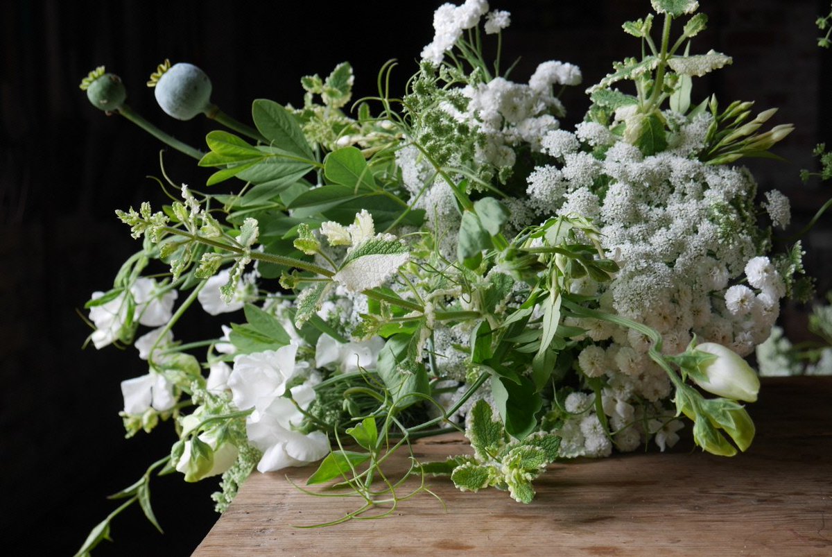 lovely flower from the garden this week