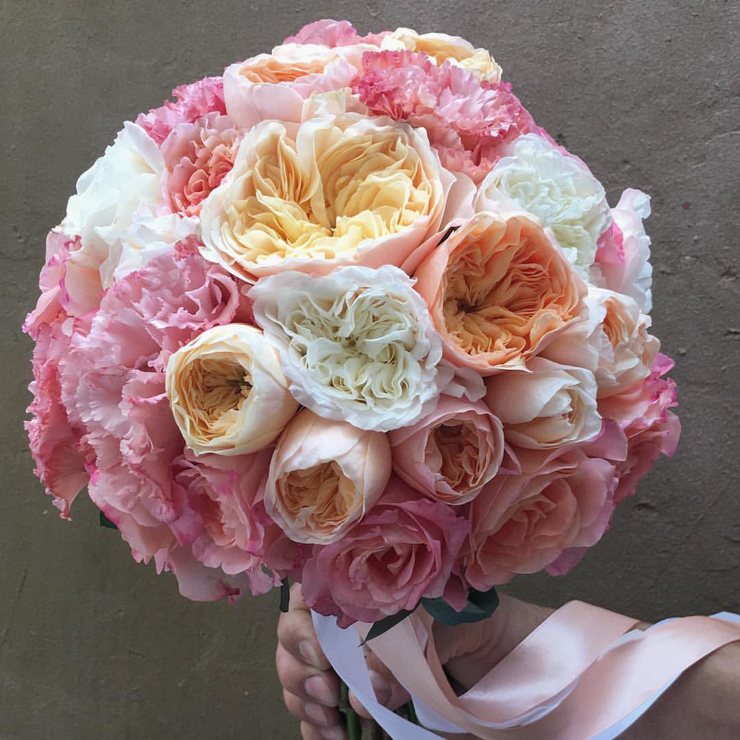FloridenceRu's tweet photo. Заказать букет невесты: 
WatsApp: 89054398933 
Электронная почта: 
info@floridence.ru 
телефон: 8(800)200-80-27 https://t.co/u7Q3INxA5I