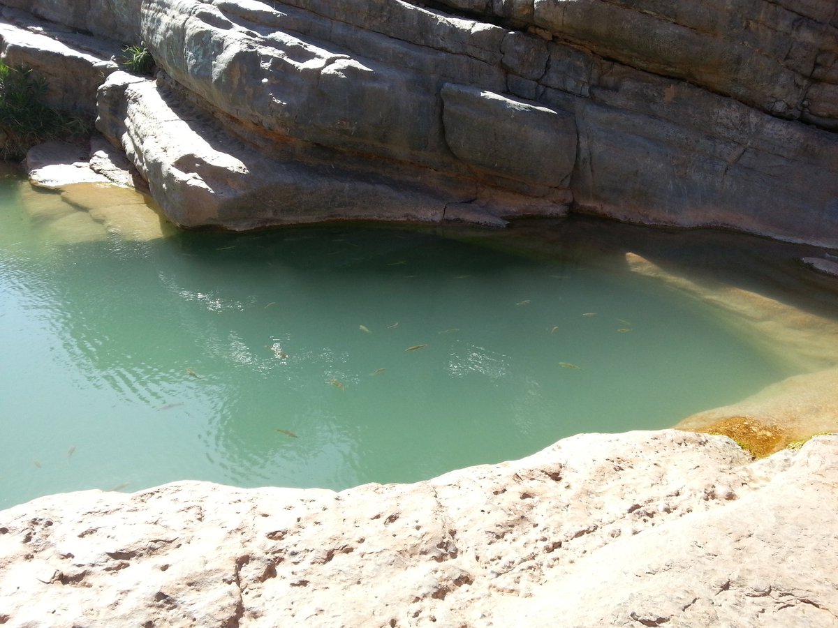 Moroccoroad's tweet image. 