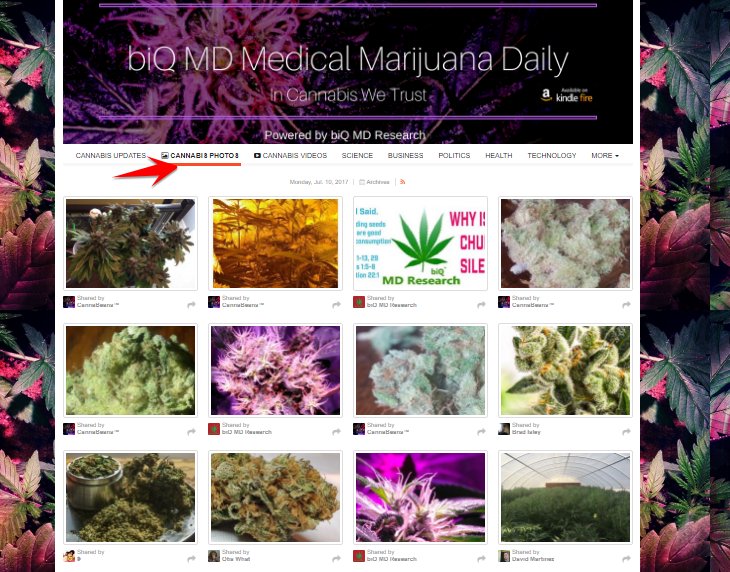 Happy Monday! Cannabis industry updates at biQMD.Com