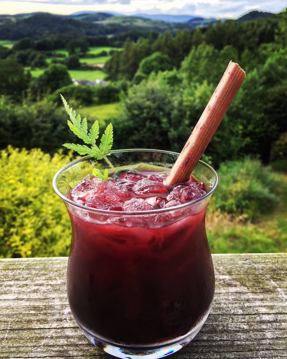 The Black Beano
Sweet cicely pastis, very sloe gin, Aelder liqueur, foraged vermouth, 9 carrot bitters, swicely straw
#wildbooze #foraging