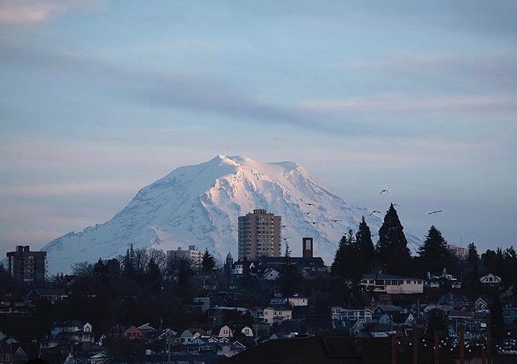 Visit Tacoma-Pierce County tweet media