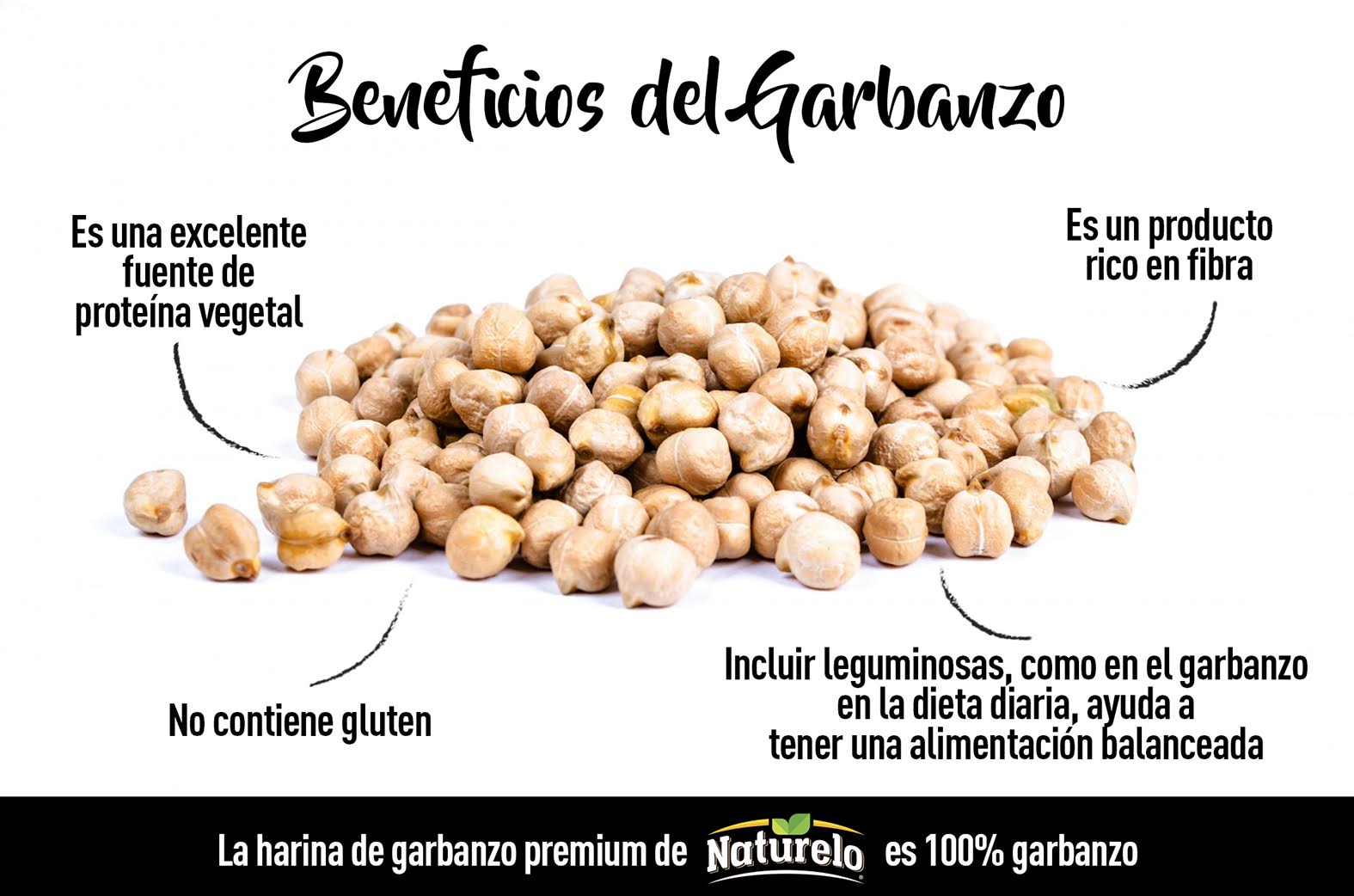 Conoce Tus Alimentos El Garbanzo Beneficios De Alimentos Garbanzos My