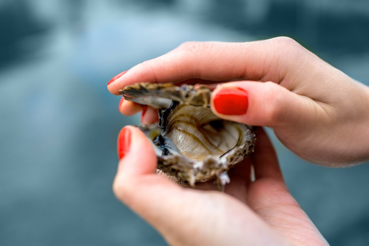 Fl Health Emerald On Twitter Oysters Are Filter Feeders That