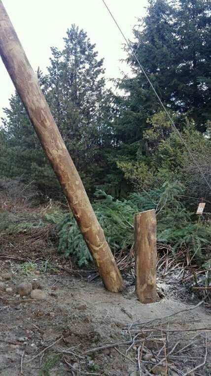 EPBolsones's tweet image. Ronquin y un cualquier participante de la asamblea es responsable de los ataques,  un día se le van a empezár a quemar casas.