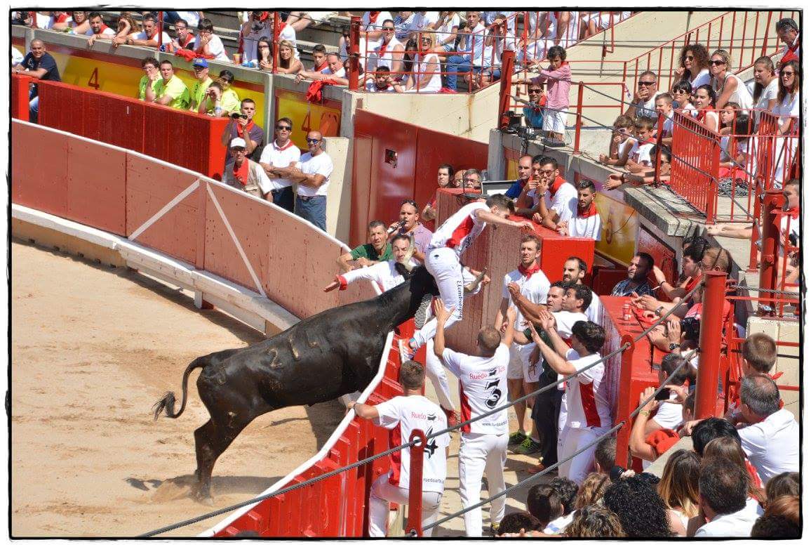 La tensión siempre presente en el concurso de anillas, mi amigo <a href="/alainpali/">Alain Henares Pali</a>  en apuros y el maestro @ARTUROMAelcejas sin perder detalle!!