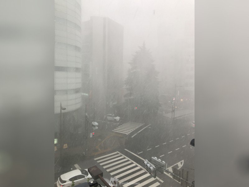 【東京豊島区の雹】まるで吹雪のような様子や積もっている様子など相次いで投稿が届いています。 weathernews.jp/s/topics/20170…