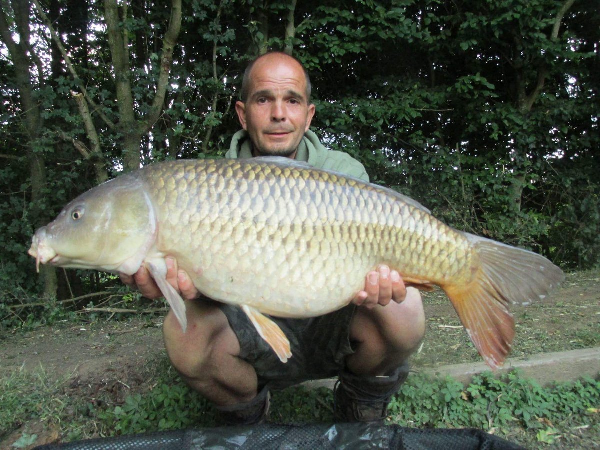LeeThom79608424's tweet photo. #baitmonkeybaits #teamhardcore #teamsharptackle #mattspukkaparticles https://t.co/yAOcrZrmsl