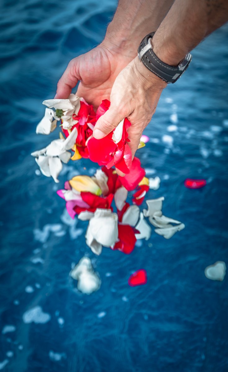 GalaAzul's tweet image. @GalaAzul organiza el acto de depositar las cenizas en el mar de tu ser querido, respetando el medio ambiente bit.ly/28ItAY4