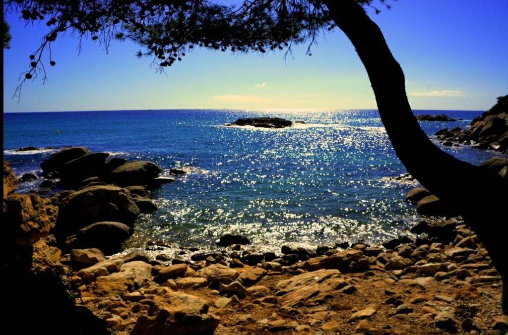 GalaAzul's tweet image. @GalaAzul organiza el acto de depositar las cenizas en el mar de tu ser querido, respetando el medio ambiente bit.ly/28ItAY4