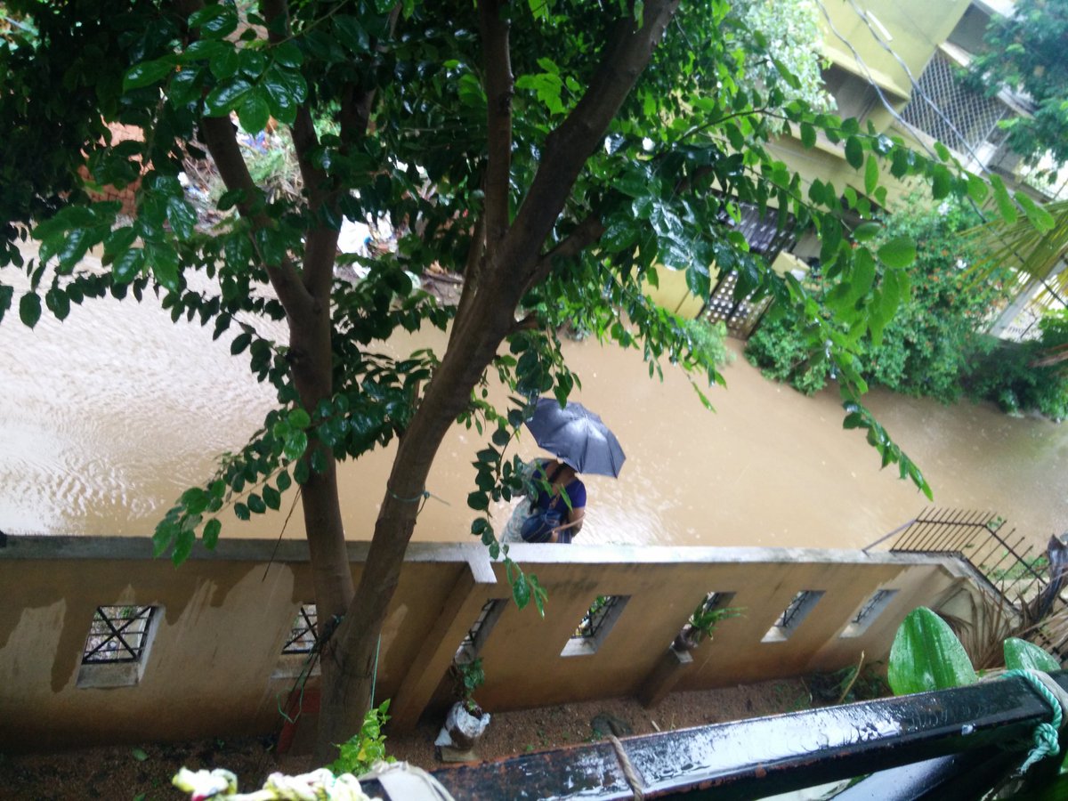 DilSeAlways's tweet photo. This morning in front of my house #KrupaComplex #Safilguda #HyderabadRains #Hyderabad https://t.co/U7EZTnvnhc