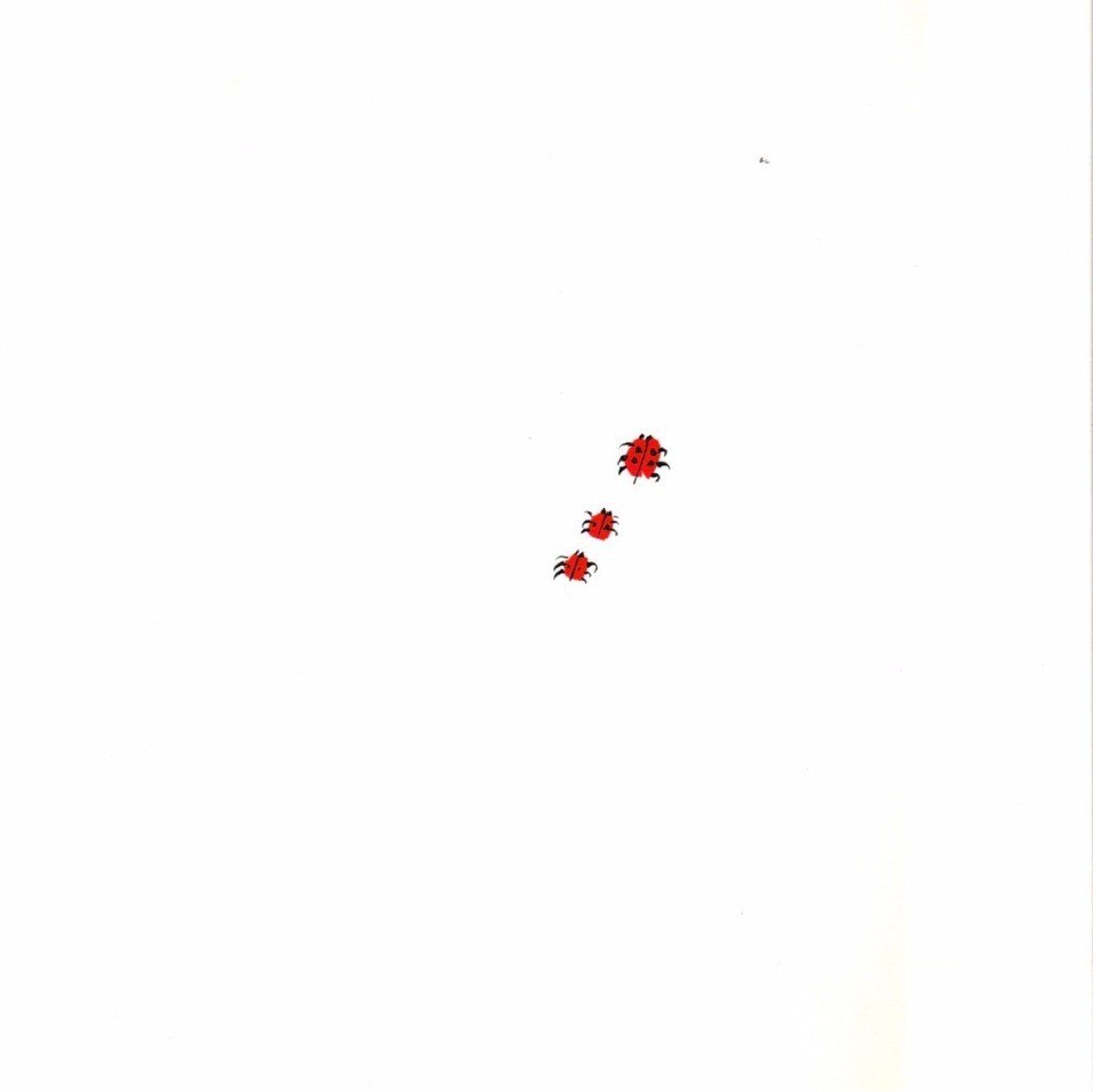 theoriginalvera's tweet photo. The Original Ladybugs #Vea #Original #VeraNeumann #Prettyinprint https://t.co/mCVBME27kH