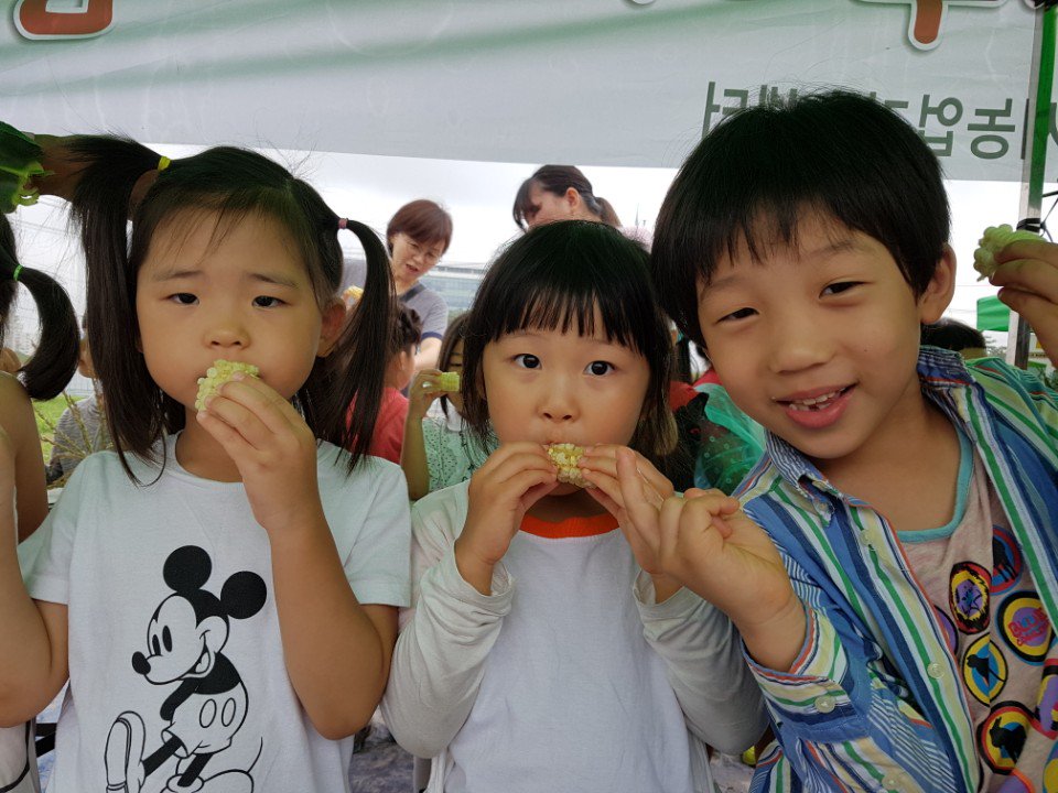 한솔어린이집 6,7세 친구들은 성남 시민농원으로 옥수수 수확체험활동을 다녀왔습니다^^
시기별로 다양한 농작물 수확 체험을 할수 있어서   성남시민농원은 고마운 곳이에요^^  오늘도 맛있는 옥수수 먹을수 있게 해주셔서 감사드립니다~~♡