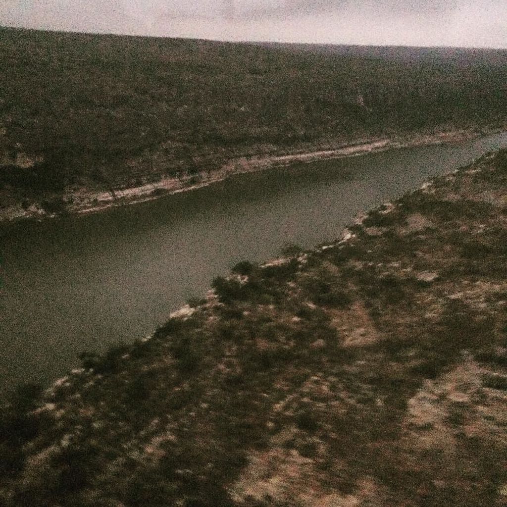 The Rosy Report tweet media