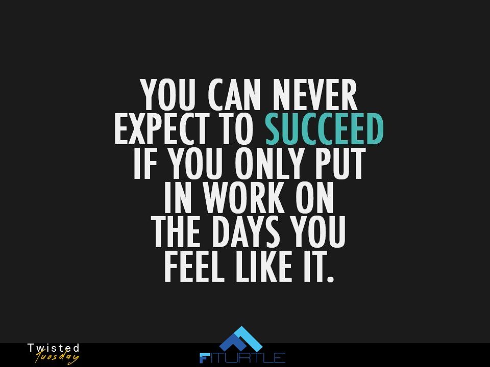 FiTurtle tweet media