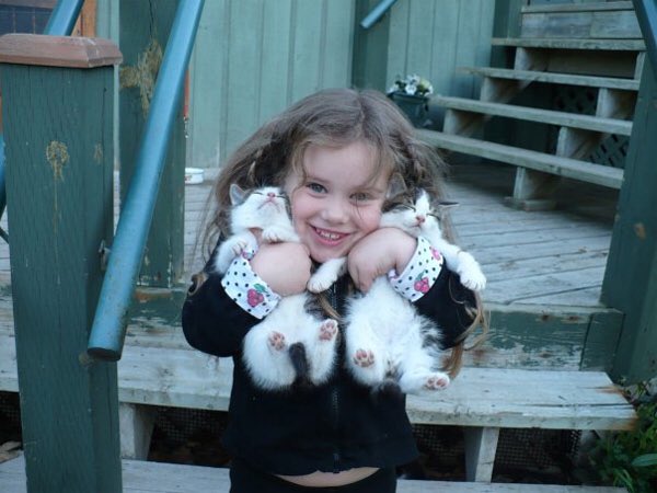 Are you a #cat breeder or do you know one? Check out this breeder rewards program or RT to help another breeder bit.ly/2u2cyf7