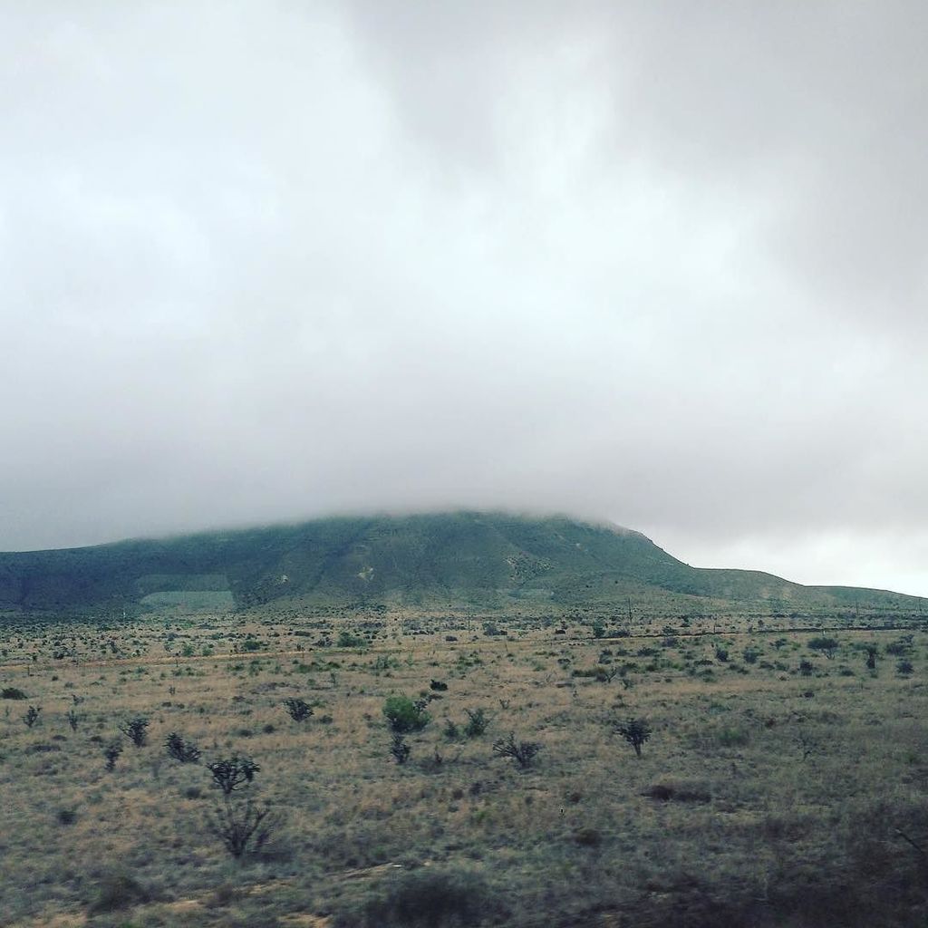 The Rosy Report tweet media