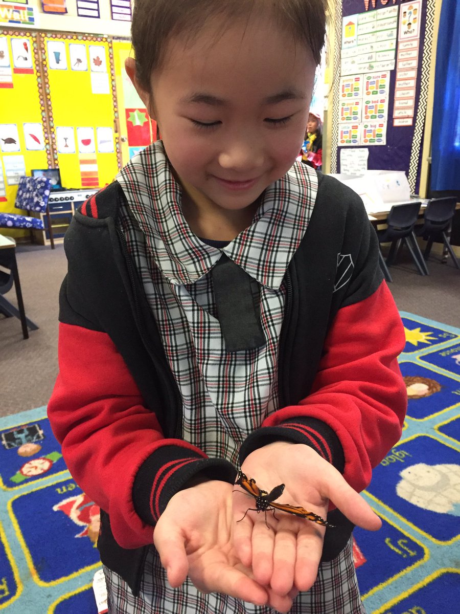 Our chrysalis became a butterfly in the holidays. We were so excited to meet &amp; hold him on our first day back!