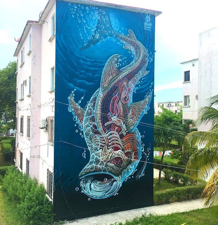 22mrr's tweet image. New Street Art by Nychos found in Cancun Mexico 🇲🇽 

#streetart #art #arte