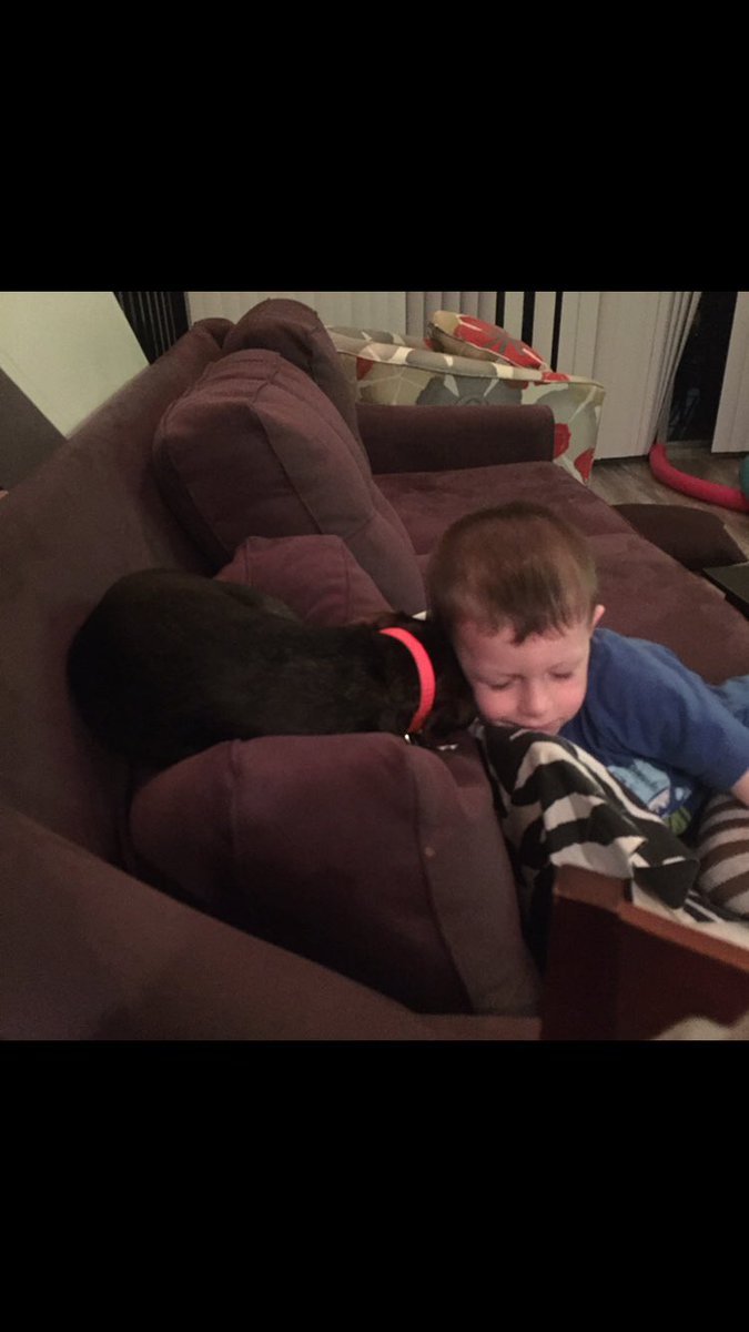 taylorbickk's tweet photo. Please pray for my fur baby and best friend, Elsa, who's having emergency surgery. Her disc was moved to her spinal cord and she's only 3😭😭 https://t.co/vN9krgL6jM