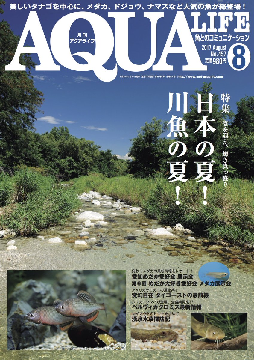 ট ইট র Mpj 販売促進部 本日発売 アクアライフ8月号 は本日発売です 7月11日 首都圏基準 特集は 日本の夏 川 魚の夏 です タナゴ メダカ ドジョウ マナズなど 人気の魚が総登場します 暑いですが お昼休みは書店へgo アクアライフ