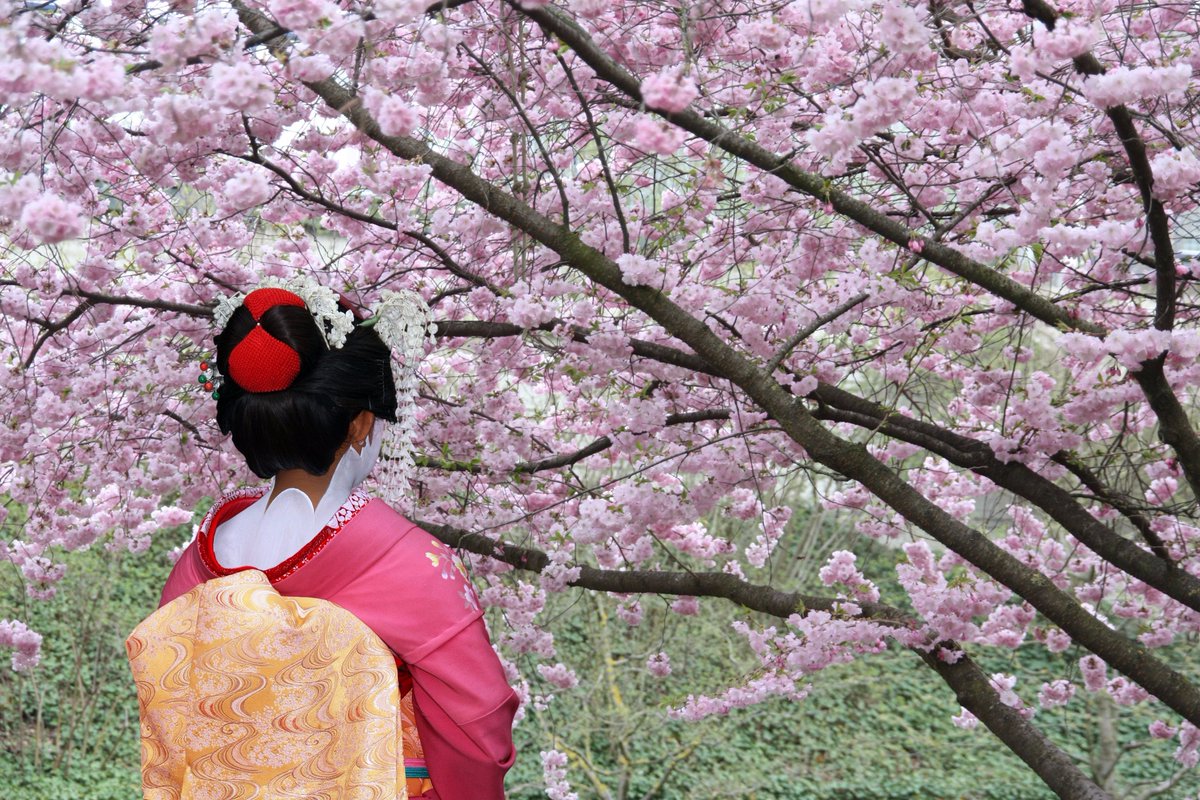 We love the colours of #Japan. Experience #Japantravel like never before with our quality group tours tinyurl.com/ya6veabd