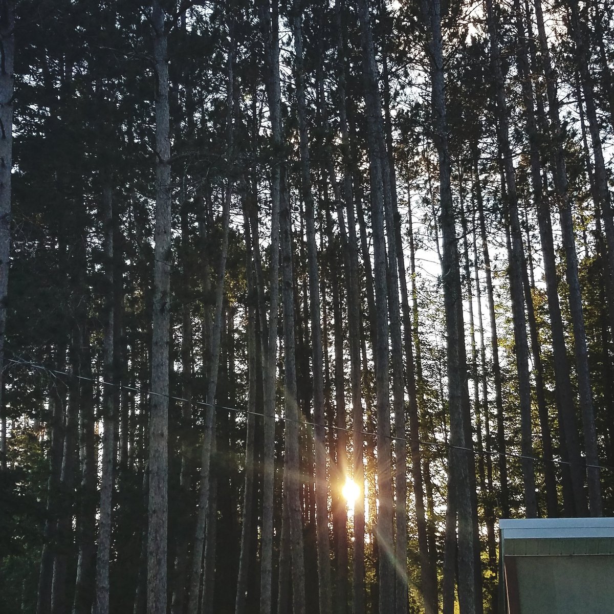 MansionDistrict's tweet photo. An evening walk in beautiful #Smethport #pawilds https://t.co/X6lJHJzPmI