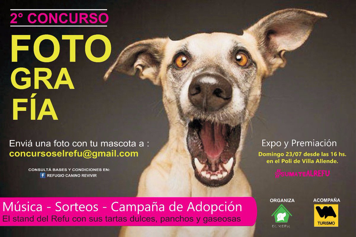 Envía tu foto y participa de este genial concurso!! El domingo 23/7 te esperamos en el poli para vivir una fiesta
<a href="/Cadena3Com/">Cadena 3 Argentina</a> @mmcardarelli