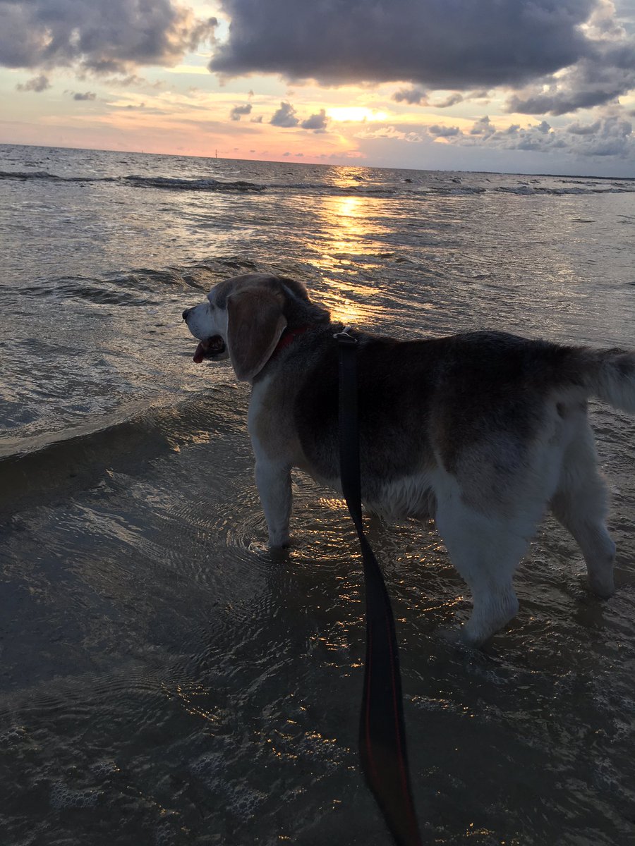 Soaking it all in before we leave for New York.