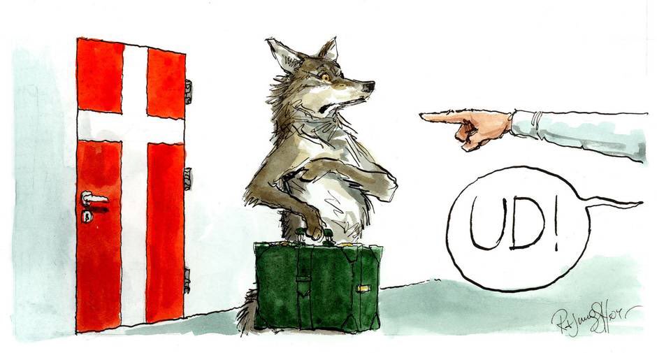 kamransarwar's tweet photo. Fulvlændinge, fluvltlinge, flulvandrere. I feel you Wolf 🐾 #dkpol #dkulv https://t.co/MGUKe6lfY3