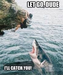 Climb Upstate (@climbupstate) on Twitter photo Meme Monday: Remember to always have a spotter! Chat with our staff about proper spotting technique! Meme Monday: Remember to always have a spotter! Chat with our staff about proper spotting technique!