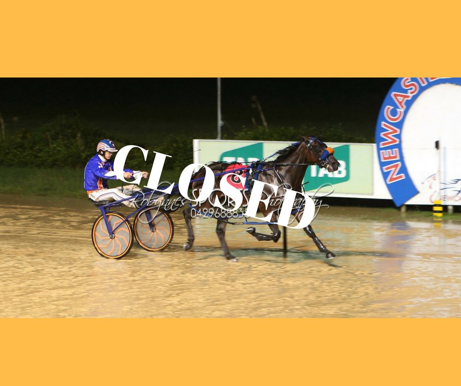 Ncle Harness Racing tweet media