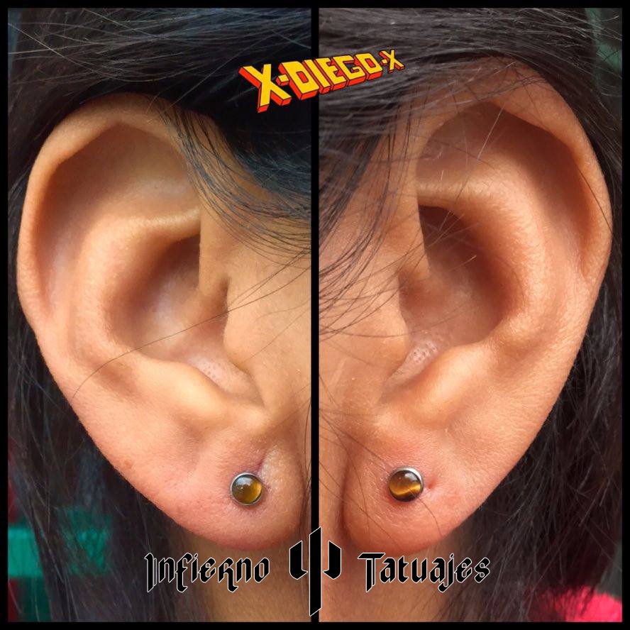 infiernotatuaje's tweet photo. #Perfos en #lóbulos con #cabochones de ojo de tigre en #titanio por XDiegox en @infiernotatuaje info 55540858 #piercing #perfos #jewelery https://t.co/TN62wl18Yq