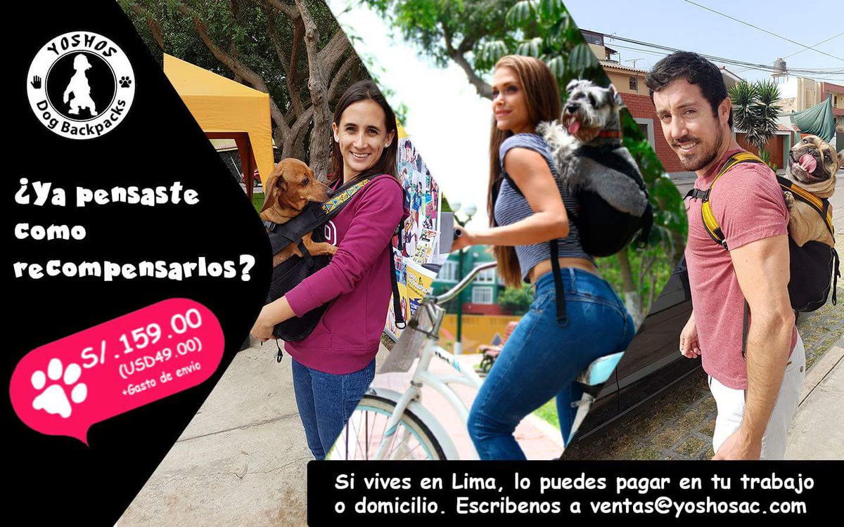 yoshos dog backpacks
