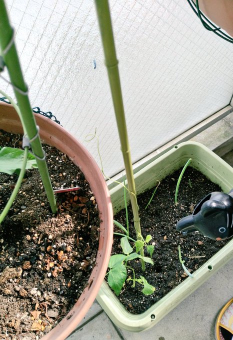 Twitterのコスプレ画像24