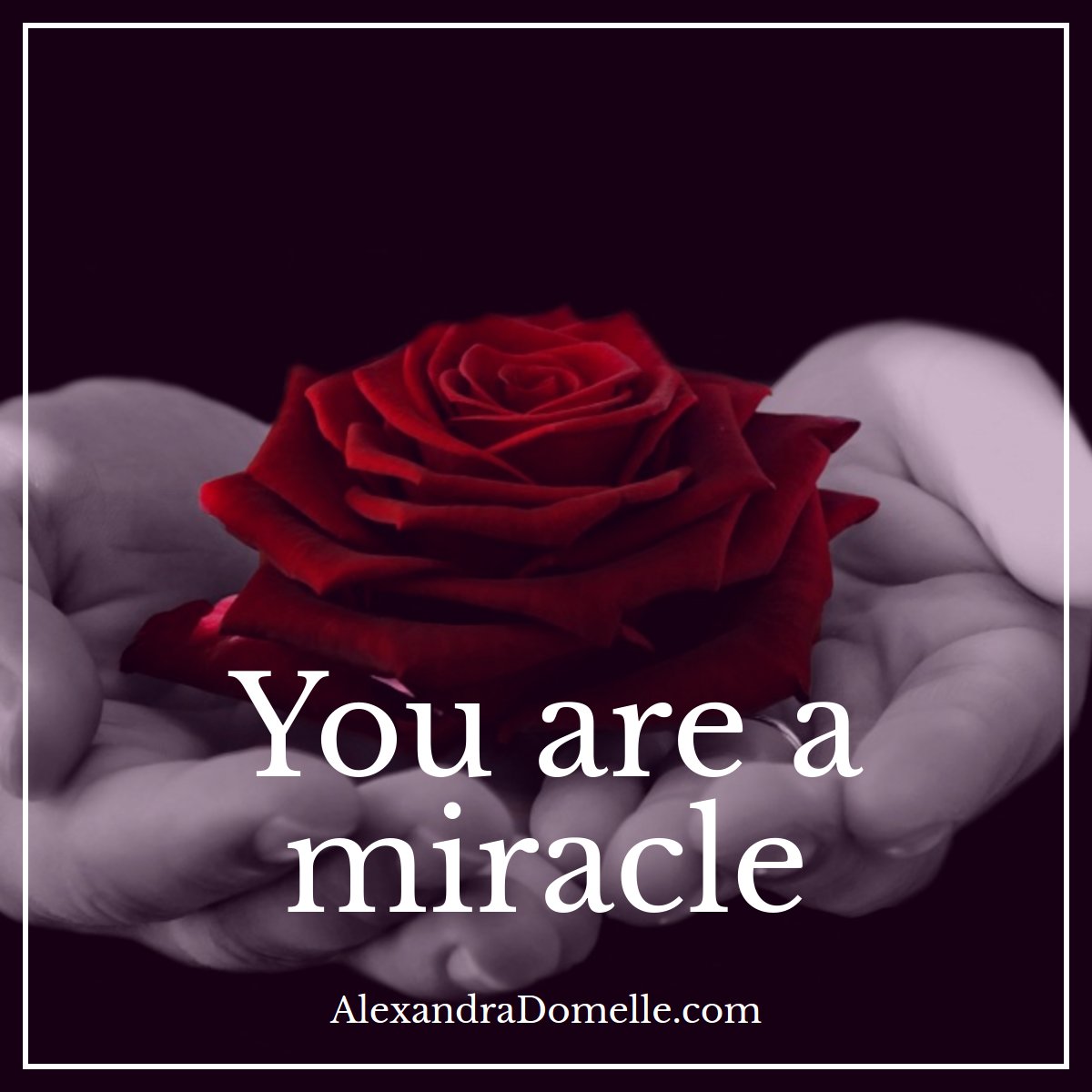 You are a #Miracle! #JoyTrain #Joy #Love #Gratitude #Shine #SelfLove #BeLove #Inspiration RT @alexdomelle