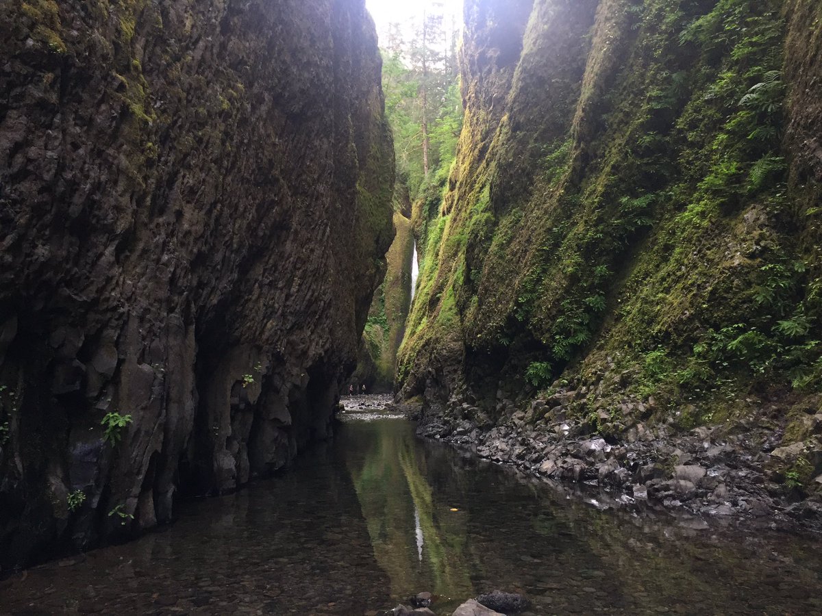 Hiked #oneontagorge this am. Beautiful hike through the gorge and water to the falls. #oregon #serene