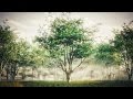 blenderpie's tweet image. How to Create Realistic Trees : Blender Tutorialhttps://youtu.be/gQUO9yL2vYQ