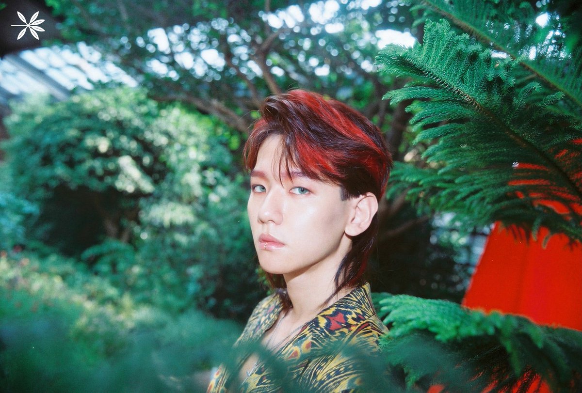 #EXO #KoKoBop #TheWarEXO #엑소 #BAEKHYUN