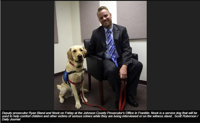 USA Service Dog tweet media