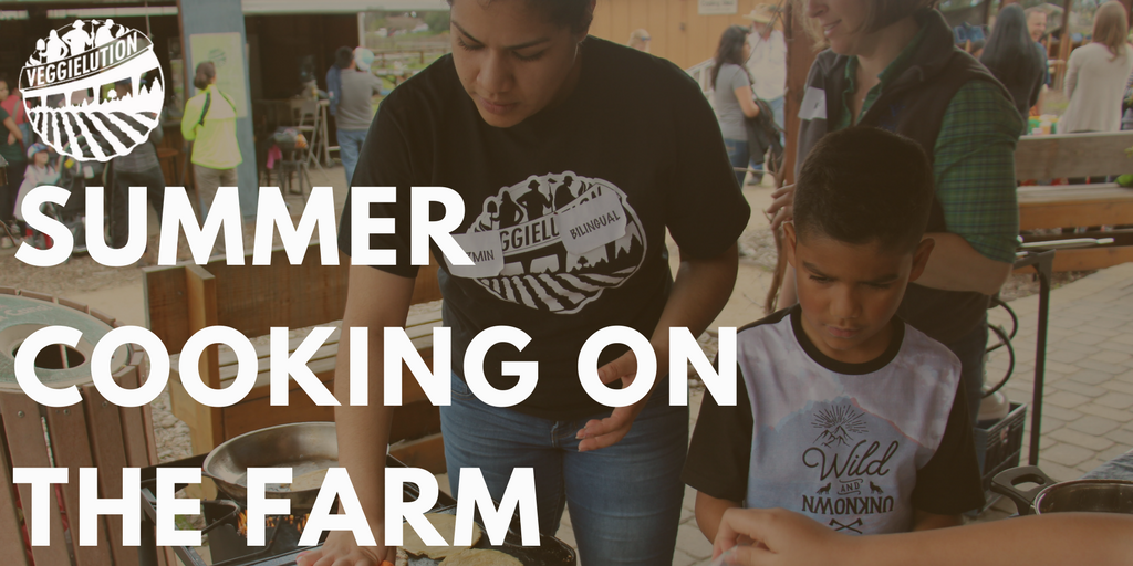 Veggielution will host a series of farm-to-table cooking classes that focus on Food Science and Culinary Arts. veggielution.org/summerprogram.