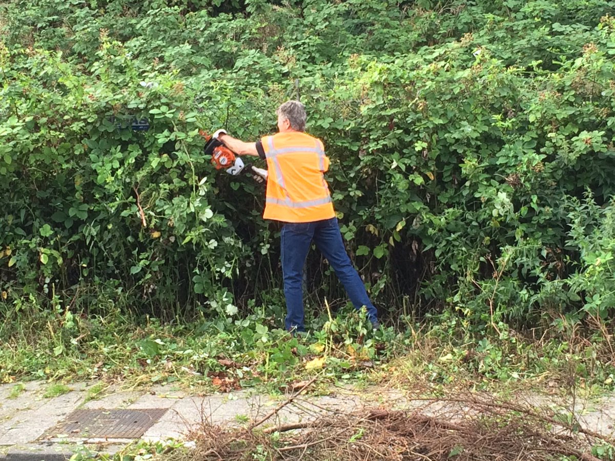 BedrschoolR's tweet photo. Niets is ons teveel mooie 1-2-3 actie @010groen #inzameling @Stadsbeheer010 #verbinden mensen kunnen weer veilig naar werk #capelsebrug https://t.co/s33m67uADM