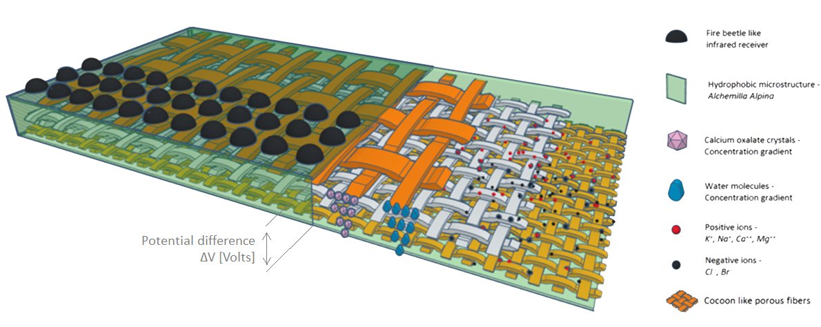 EPFL + UniL team won a 2nd place at Biomimicry Global design Challenge biomimicry.org/solution-seeke… . Congradulations!!!!